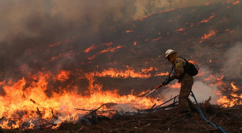 portugal wildfire, fire portugal, odemira fire, odeceixe fire, algarve fire, wildfire south portugal, aljezur fire